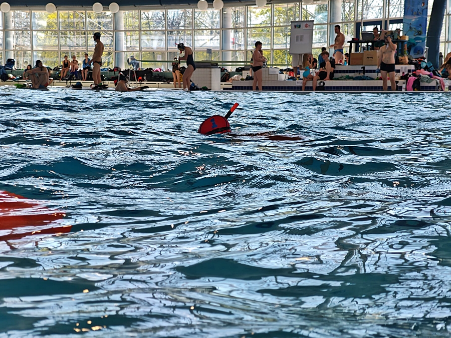 Hokej pod wodą Walenie Czeskie Budziejowice Bud Pig Cup 2026